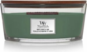 WoodWick - Mint Leaves & Oak Ellipse Candle