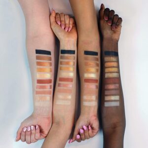 Profusion Cosmetics Mini Artistry 10 Shade Eyeshadow Palette  Classics